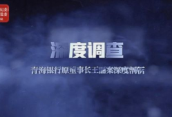 反腐视频,揭秘反腐视频背后的故事