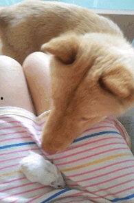 家教邪恶漫画,邪恶漫画中的黑暗面揭露