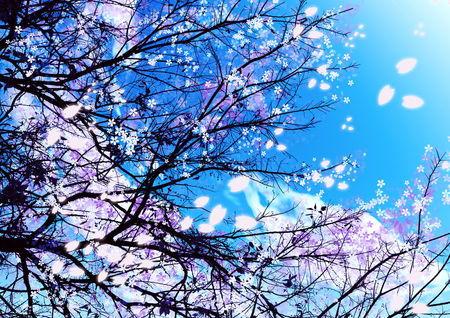 日本樱花动漫网,探寻动漫世界的浪漫樱花之旅