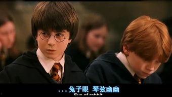 哈利波特搞笑视频,哈利波特搞笑视频集锦
