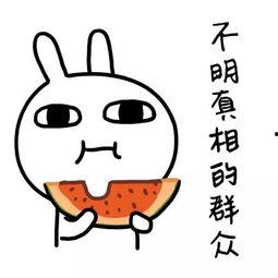 娱乐吃瓜酱侵权,揭秘网络红人版权争议背后的真相