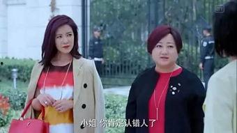 娱乐圈吃瓜小花小说,揭秘明星背后的秘密，吃瓜小花带你领略娱乐圈风云